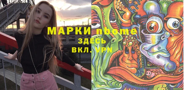прущая мука Вяземский