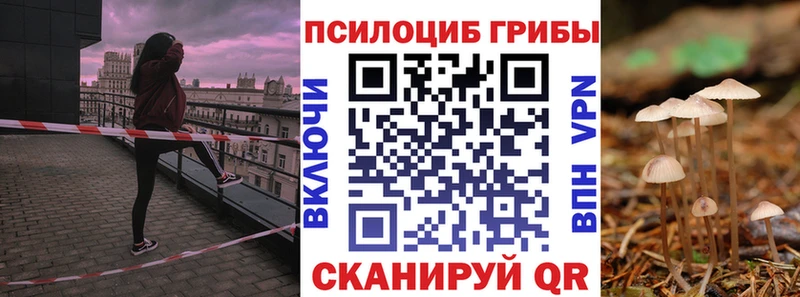 KRAKEN как зайти  Калач  Галлюциногенные грибы ЛСД 