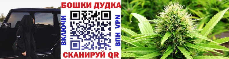 Канабис Bruce Banner купить наркотики сайты Калач